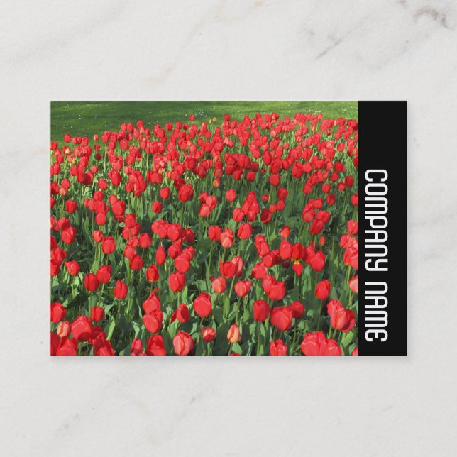 Side Band - Bed of Red Tulips 02 Business Card (Front)