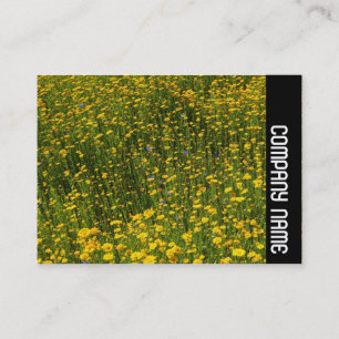Side Band - Bed of Yellow Daisies Business Card