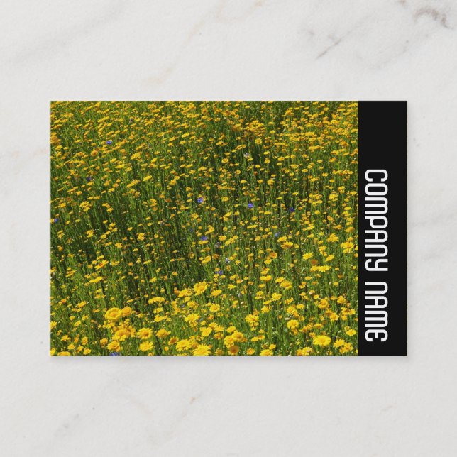 Side Band - Bed of Yellow Daisies Business Card (Front)