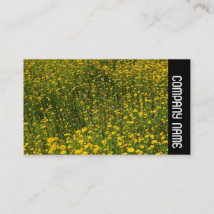 Side Band -  Bed of Yellow Daisies Business Card