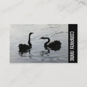 Side Band - Black Swans Greeting Business Card