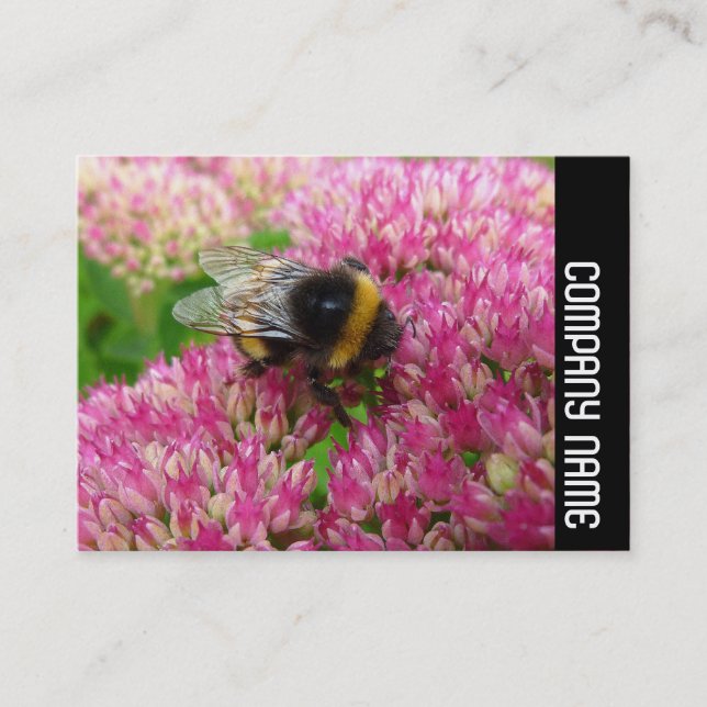 Side Band - Bumble Bee on Sedum Business Card (Front)