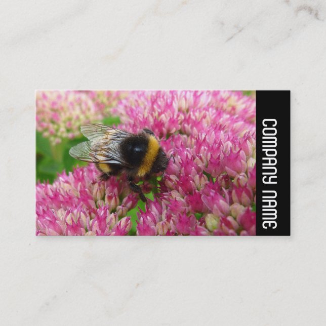 Side Band - Bumble Bee on Sedum Business Card (Front)
