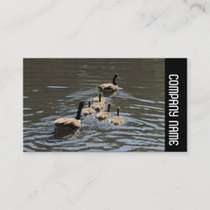 Side Band -  Canada Geese with Goslings Business Card