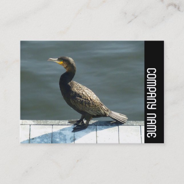 Side Band - Cormorant Business Card (Front)