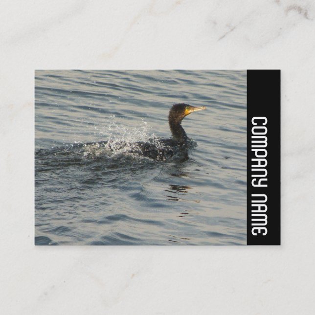 Side Band - Cormorant Learning to Swim Business Card (Front)
