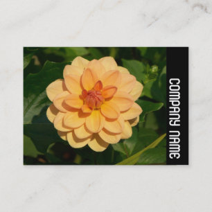 Side Band - Dahlia 'David Howard' Business Card