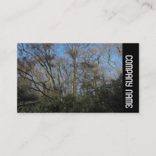 Side Band -  Dancing Trees Business Card