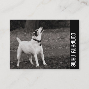Side Band - Dog Business Card