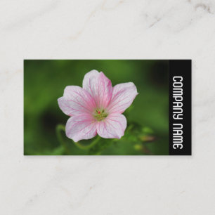 Side Band -  Geranium Business Card