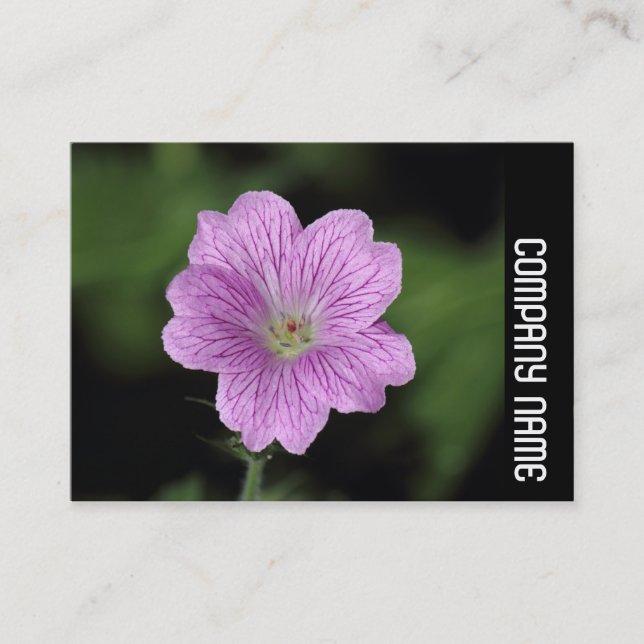 Side Band - Geranium Endressii Business Card (Front)