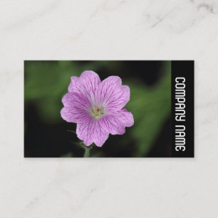 Side Band -  Geranium Endressii Business Card
