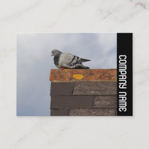 Side Band - Good Morning Pigeon Business Card