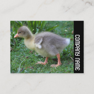 Side Band - Gosling 02 Business Card