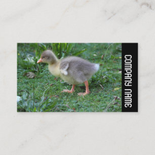 Side Band -  Gosling 02 Business Card