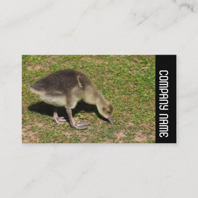 Side Band -  Gosling Business Card (Front)