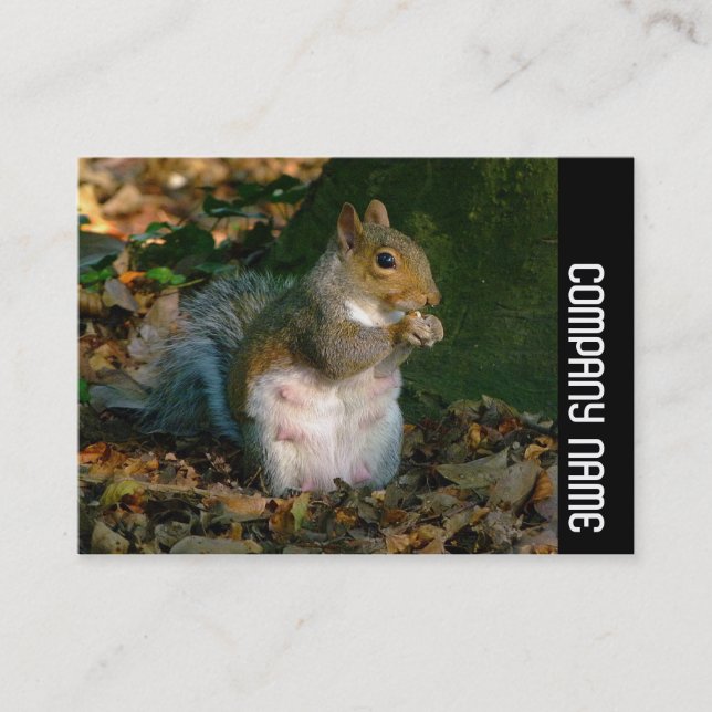 Side Band - Grey Squirrel Business Card (Front)