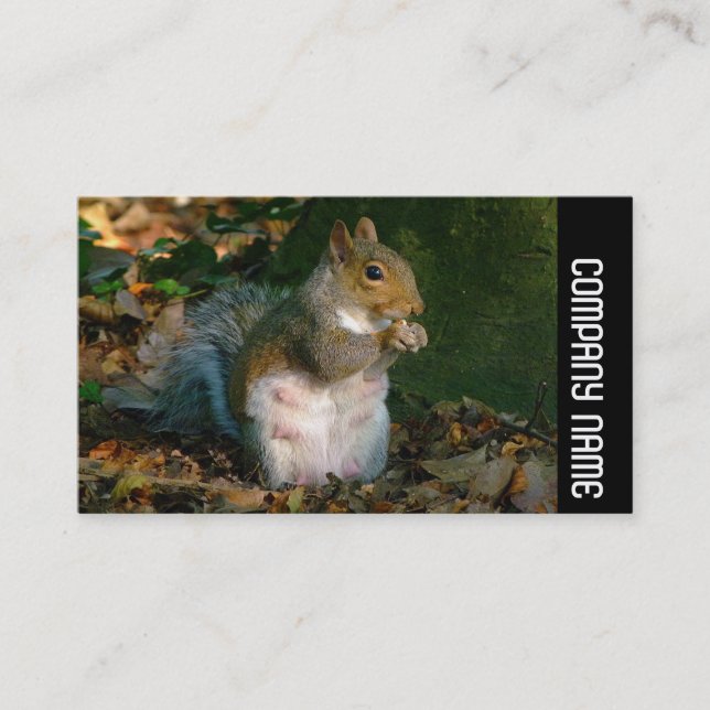 Side Band - Grey Squirrel Business Card (Front)