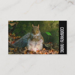 Side Band - Grey Squirrel Business Card