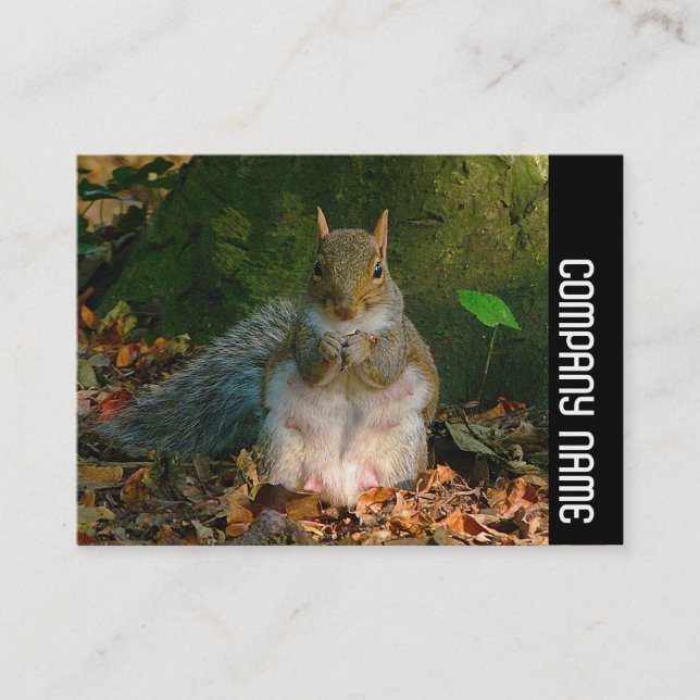 Side Band - Grey Squirrel Business Card (Front)