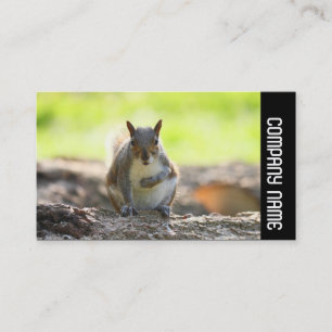 Side Band -  Grey Squirrel Business Card