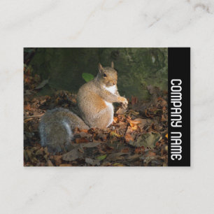 Side Band - Grey Squirrel Business Card
