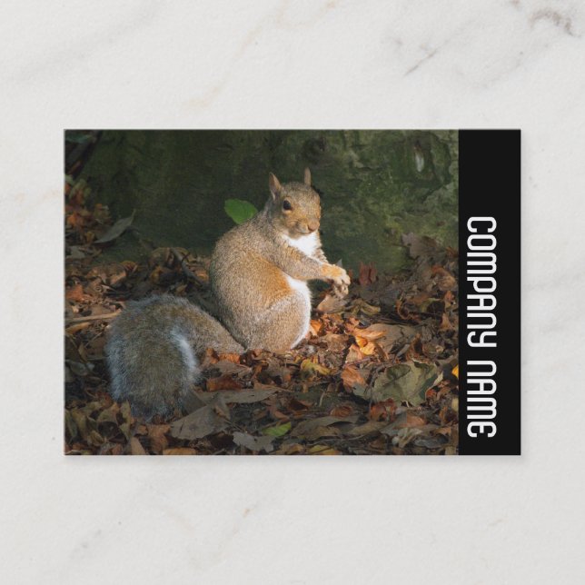 Side Band - Grey Squirrel Business Card (Front)