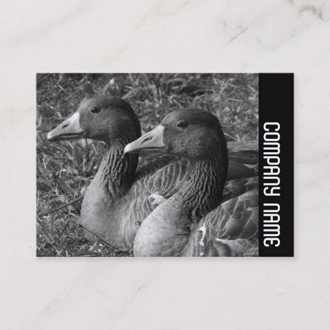 Side Band - Greylag Geese B&W Business Card (Front)