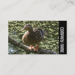Side Band - Happy Duck Business Card