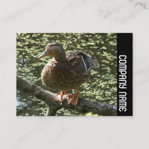 Side Band - Happy Duck Business Card