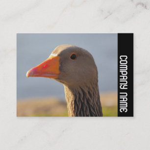 Side Band - Inquisitive Goose Business Card