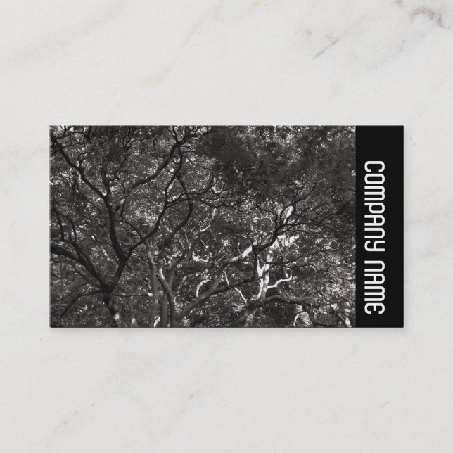 Side Band -  Japanese Branches 01 Business Card (Front)