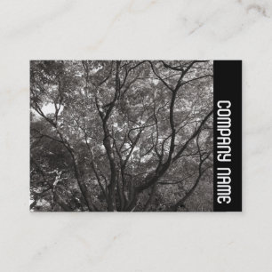 Side Band - Japanese Branches 02 Business Card
