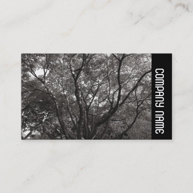 Side Band -  Japanese Branches 02 Business Card (Front)