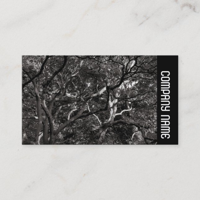 Side Band -  Japanese Branches 03 Business Card (Front)