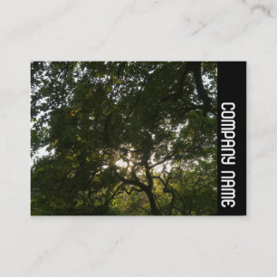 Side Band - Japanese Branches 04 Business Card