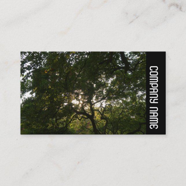 Side Band -  Japanese Branches 04 Business Card (Front)