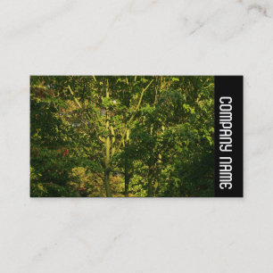 Side Band -  Japanese Branches 05 Business Card
