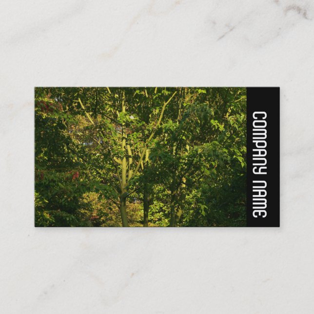 Side Band -  Japanese Branches 05 Business Card (Front)