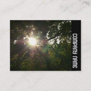 Side Band - Japanese Branches 07 Business Card