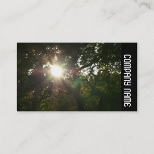 Side Band -  Japanese Branches 07 Business Card