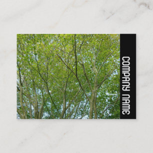 Side Band - Japanese Maple Business Card