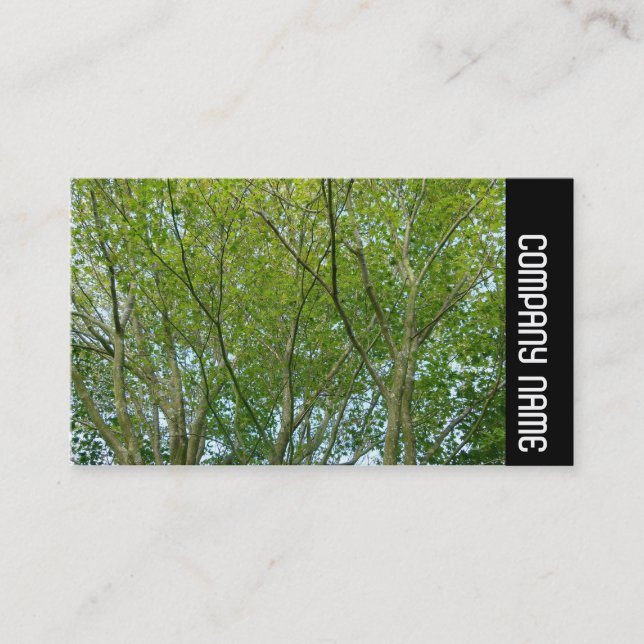 Side Band - Japanese Maple Business Card (Front)