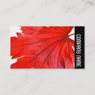 Side Band - Japanese Maple Leaf Business Card