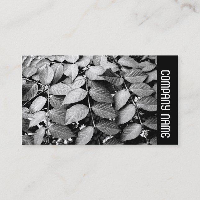Side Band - Leaves Business Card (Front)