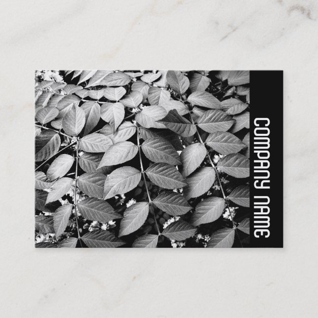 Side Band - Leaves Business Card (Front)