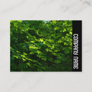 Side Band - Leaves of Spring Business Card