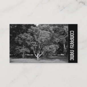 Side Band -  Magnolia Tree BW Business Card