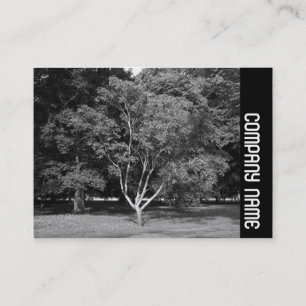 Side Band - Magnolia Tree BW Business Card