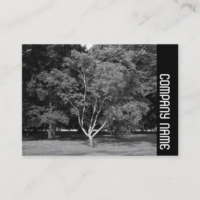 Side Band - Magnolia Tree BW Business Card (Front)